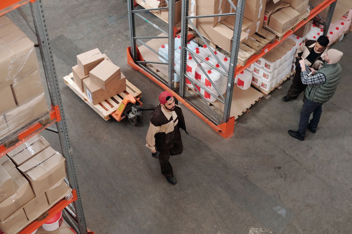 Freight Forwarder vs NVOCC vs 3PL: Which One Do You Actually Need?